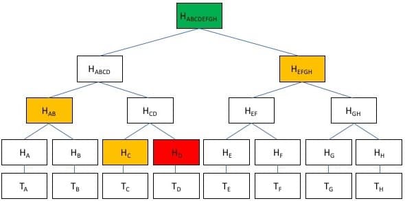 Merkle diagram to identify a Transfer